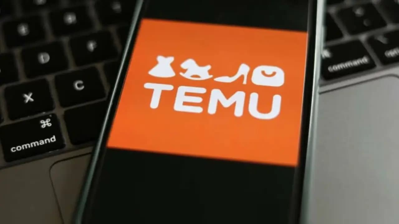 ¿Cuál de los temu métodos de pago es más seguro?